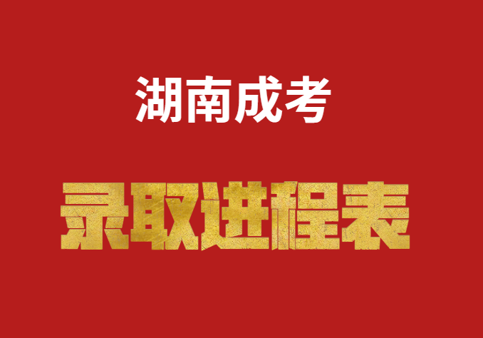 網上錄取進程表
